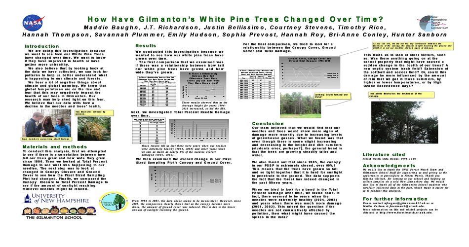 How Have Gilmanton’S White Pine Trees Changed Over Time? by mrg39
